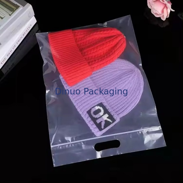 Persoonlijk afdrukken milieuvriendelijke hervergrendelbare plastic zakjes met zakjes voor kledingverpakkingen