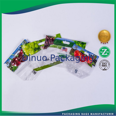 Rekupereerbare Plastic Douane Gedrukte Verpakkende Zakken voor Voedsel/Kledingstukken/Kruidenierswinkel