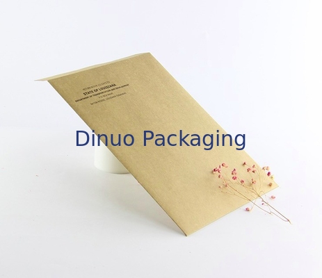 CMYK-de Koerier Packing Bags 9.5x14.5cm van Drukkraftpapier